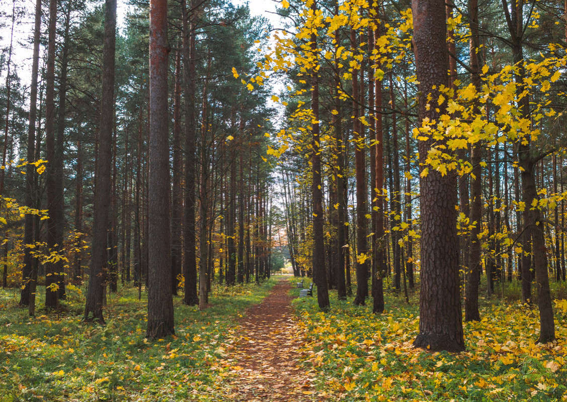 ����� � ������ ����� 4 ����� Vitaly Konakov �� PhotoGeek.ru #������ ��� ������� #����� ��������