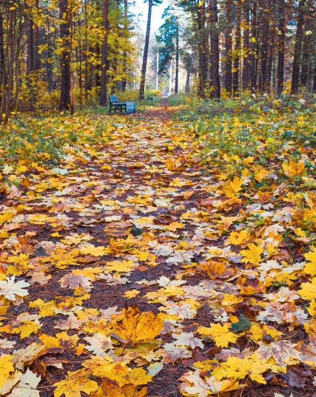 ����� � ������ ����� 5 ����� Vitaly Konakov �� PhotoGeek.ru #������ ��� ������� #����� ��������