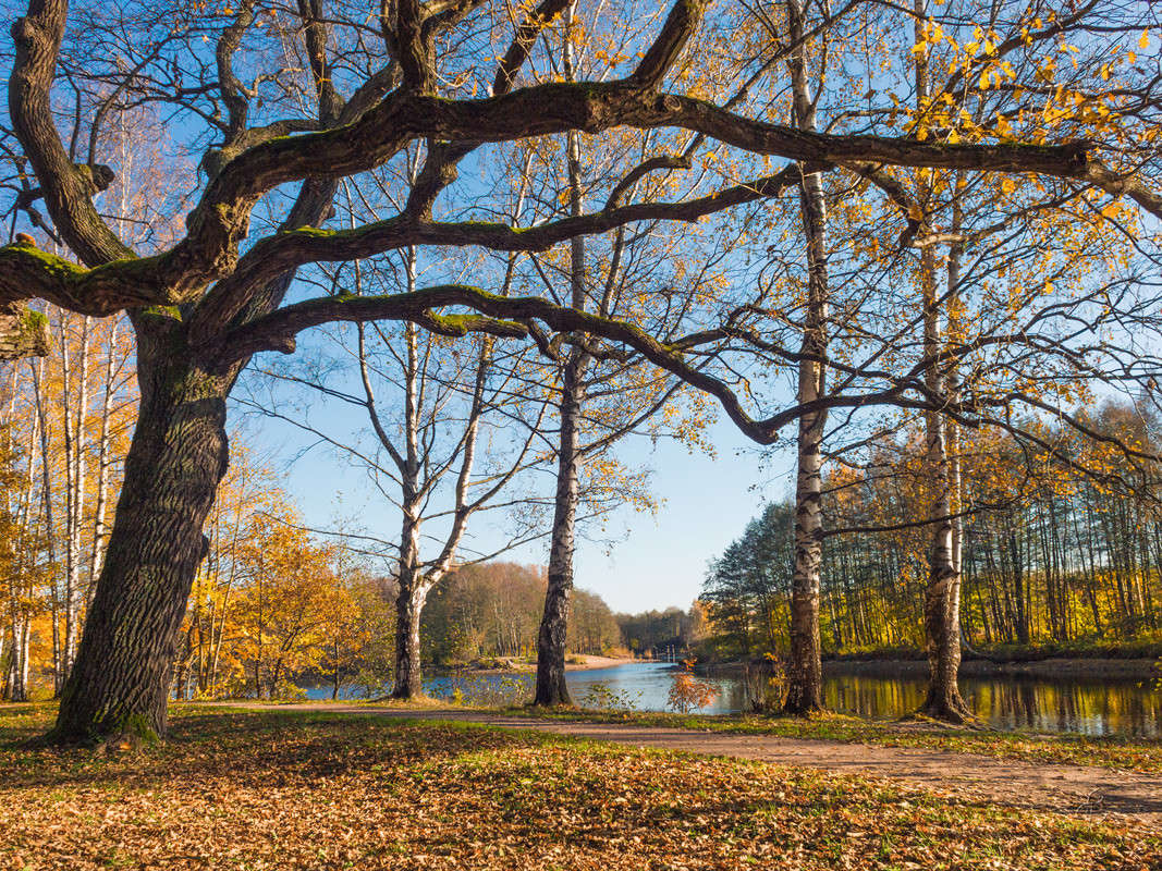 ������� ����� � ����� 4 ����� Vitaly Konakov �� PhotoGeek.ru #������ ��� ������� #����� ��������