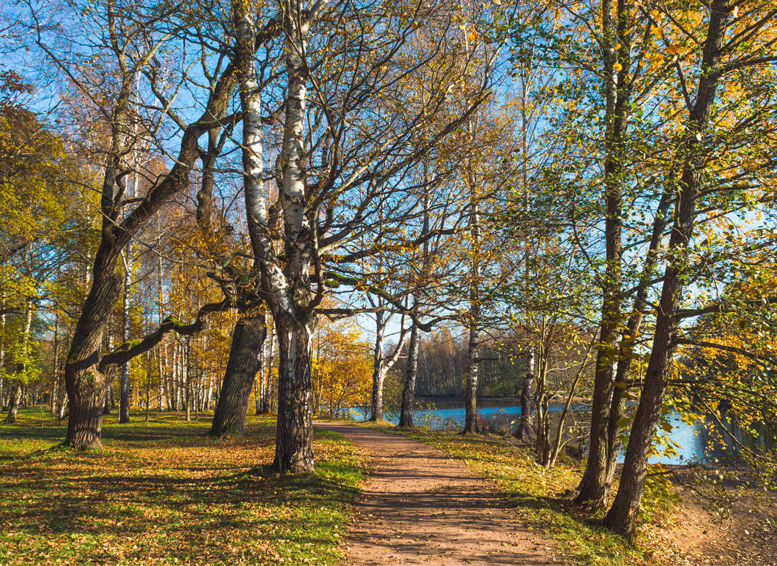 ������� ����� � ����� 7 ����� Vitaly Konakov �� PhotoGeek.ru #������ ��� ������� #����� ��������