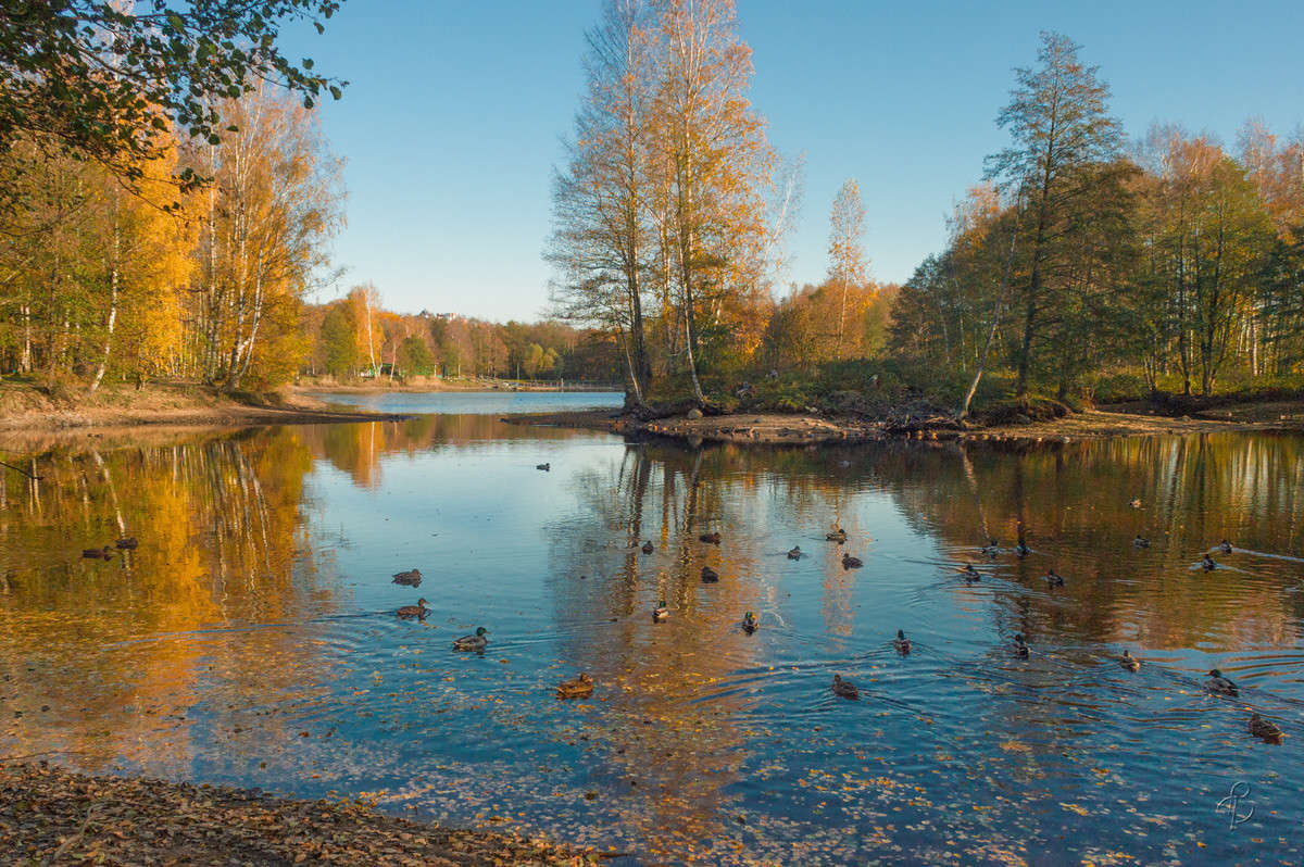 ������� ����� � ����� 8 ����� Vitaly Konakov �� PhotoGeek.ru #������ ��� ������� #����� ��������