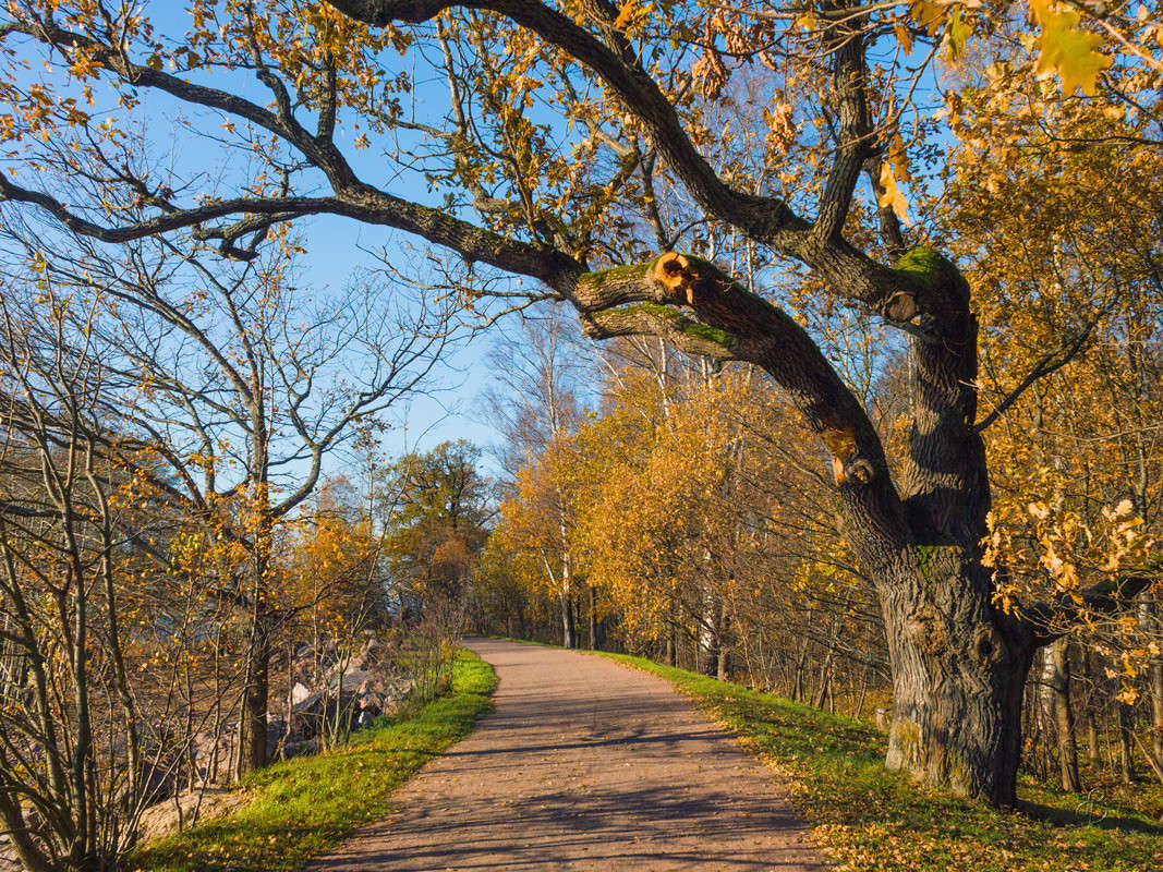 ������� ����� � �����  9 ����� Vitaly Konakov �� PhotoGeek.ru #������ ��� ������� #����� ��������
