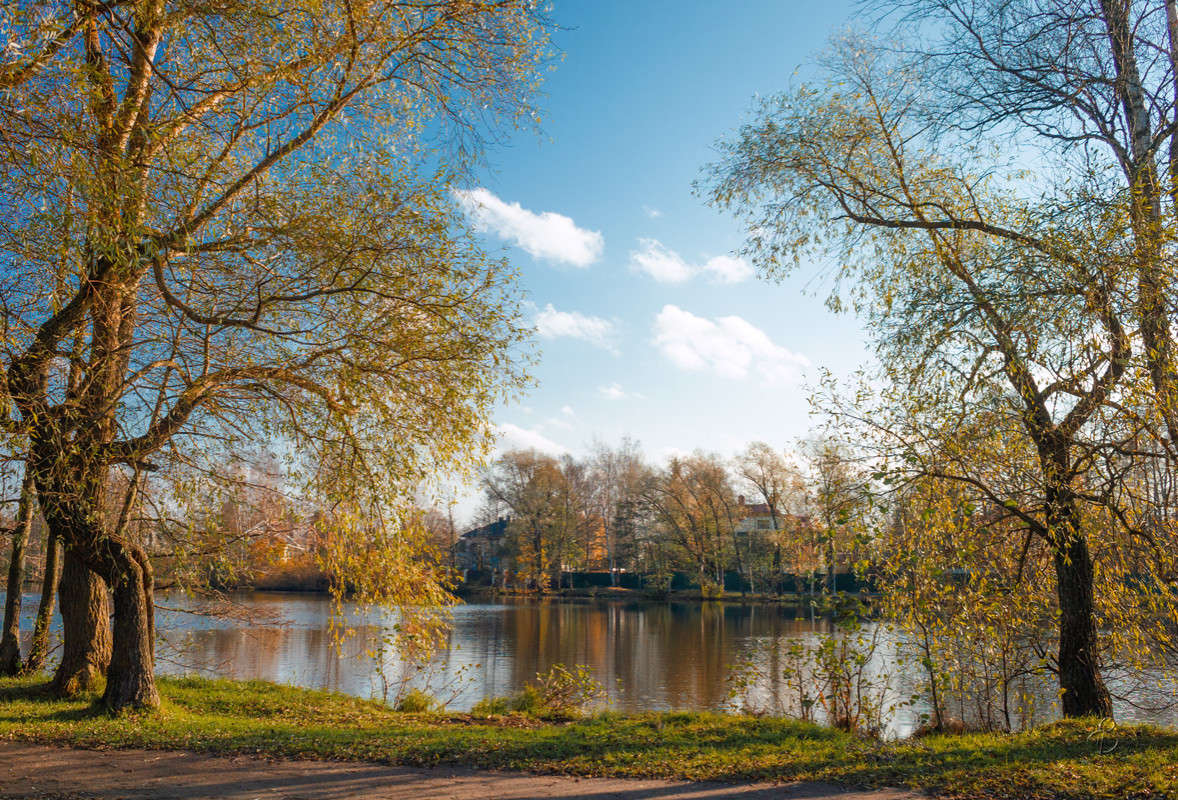 ������� �� �������� ������� 4 ����� Vitaly Konakov �� PhotoGeek.ru #������ ��� ������� #����� ��������