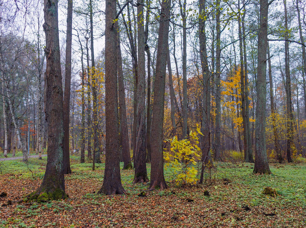 ��������� ���� � ����� 2 ����� Vitaly Konakov �� PhotoGeek.ru #������ ��� ������� #����� ��������