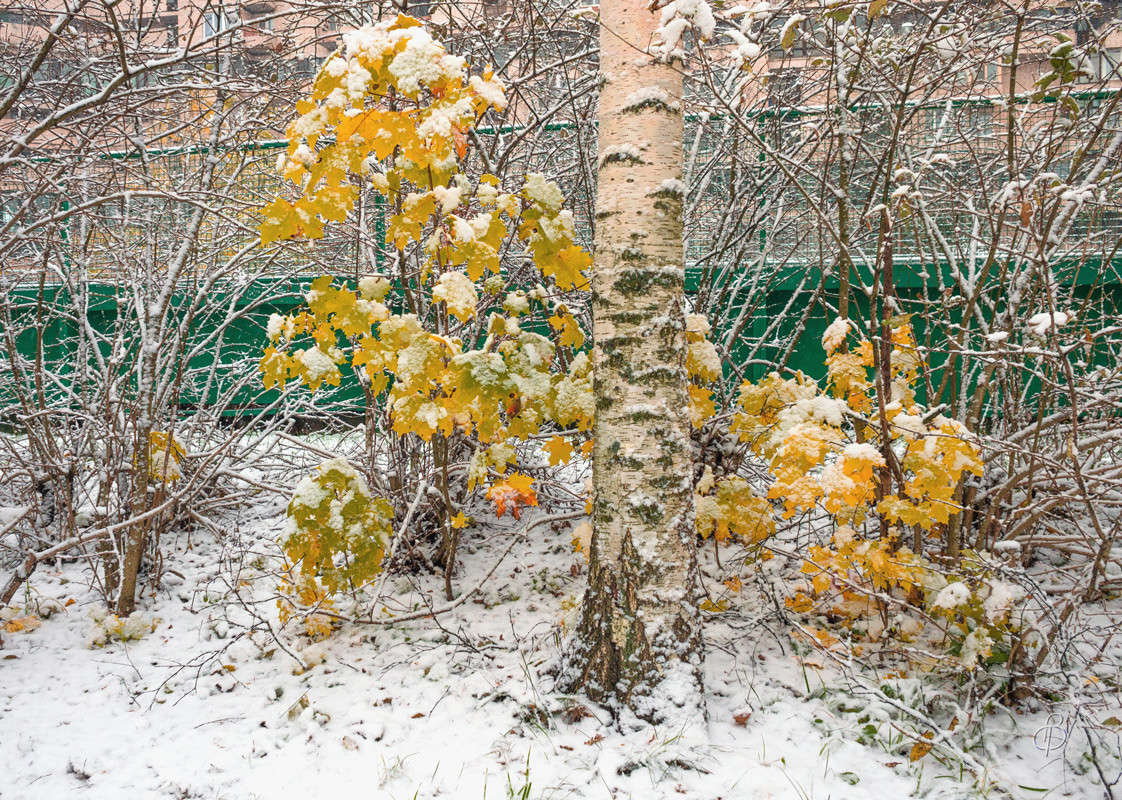 ���� � ������� ����� Vitaly Konakov �� PhotoGeek.ru #������ ��� ������� #����� ��������