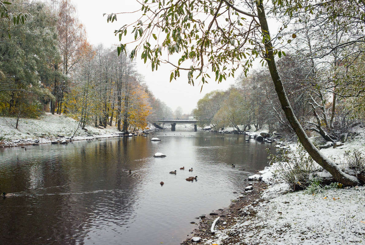 ���� � ������� 3 ����� Vitaly Konakov �� PhotoGeek.ru #������ ��� ������� #����� ��������