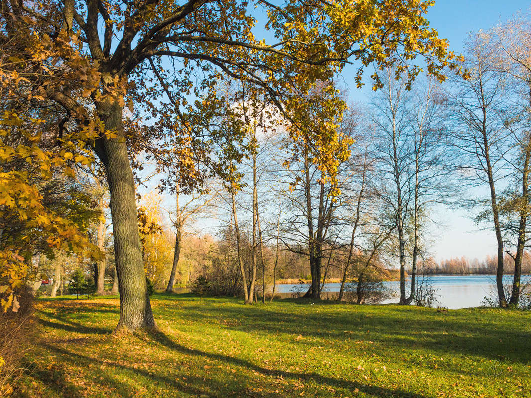 ������� �� �������� ������� 8 ����� Vitaly Konakov �� PhotoGeek.ru #������ ��� ������� #����� ��������