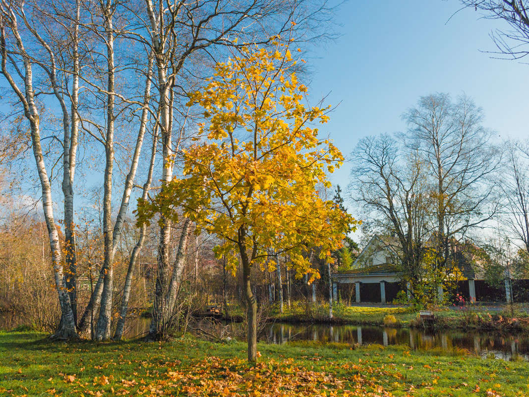 ������� �� �������� ������� 10 ����� Vitaly Konakov �� PhotoGeek.ru #������ ��� ������� #����� ��������