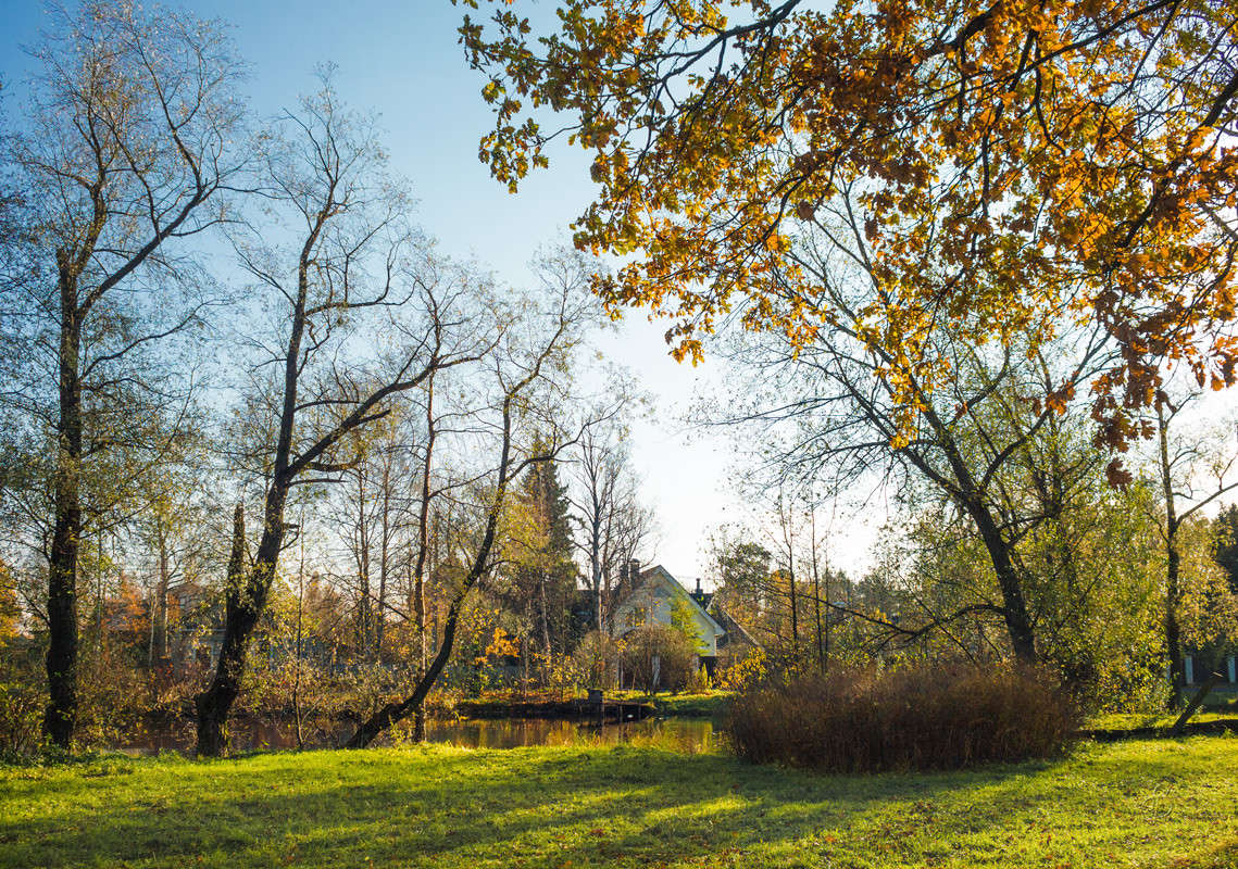 ������� �� �������� ������� 12 ����� Vitaly Konakov �� PhotoGeek.ru #������ ��� ������� #����� ��������