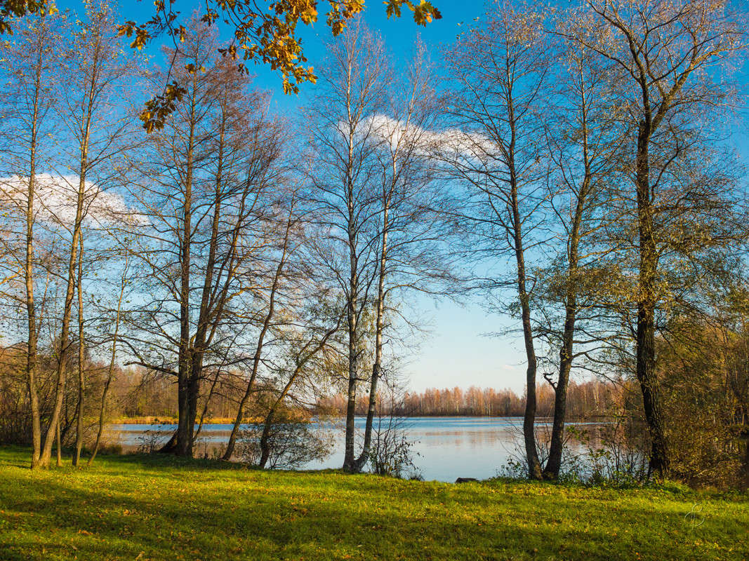 ������� �� �������� ������� 14 ����� Vitaly Konakov �� PhotoGeek.ru #������ ��� ������� #����� ��������