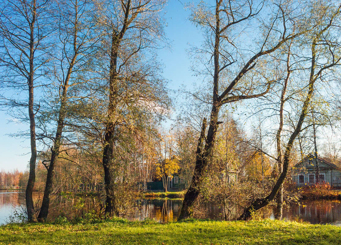 ������� �� �������� ������� 15 ����� Vitaly Konakov �� PhotoGeek.ru #������ ��� ������� #����� ��������