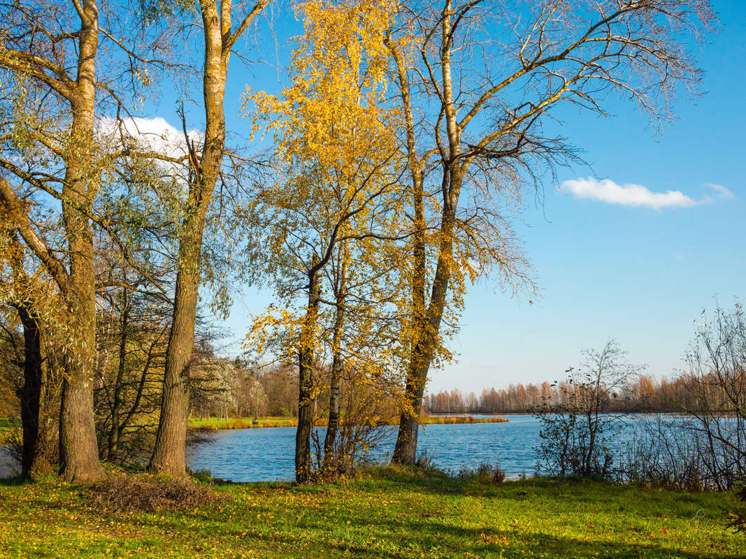 ������� �� �������� ������� 16 ����� Vitaly Konakov �� PhotoGeek.ru #������ ��� ������� #����� ��������