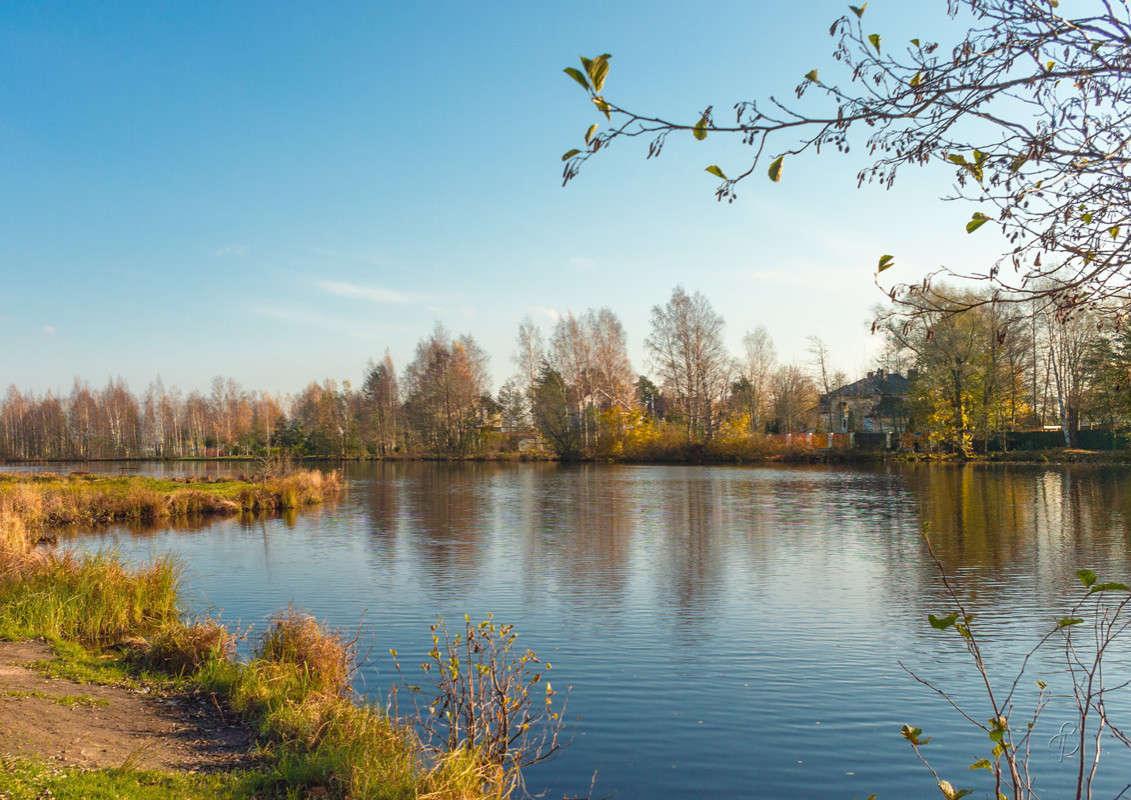 ������� �� �������� ������� 17 ����� Vitaly Konakov �� PhotoGeek.ru #������ ��� ������� #����� ��������