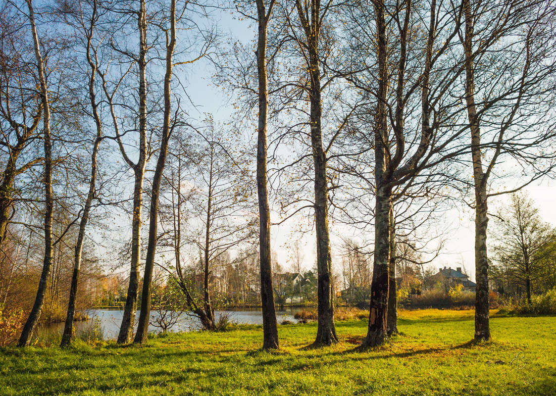 ������� �� �������� ������� 18 ����� Vitaly Konakov �� PhotoGeek.ru #������ ��� ������� #����� ��������