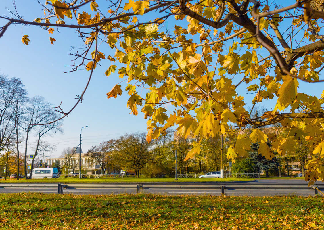 ������� � ����������� ����� ����� Vitaly Konakov �� PhotoGeek.ru #������ ��� ������� #����� ��������