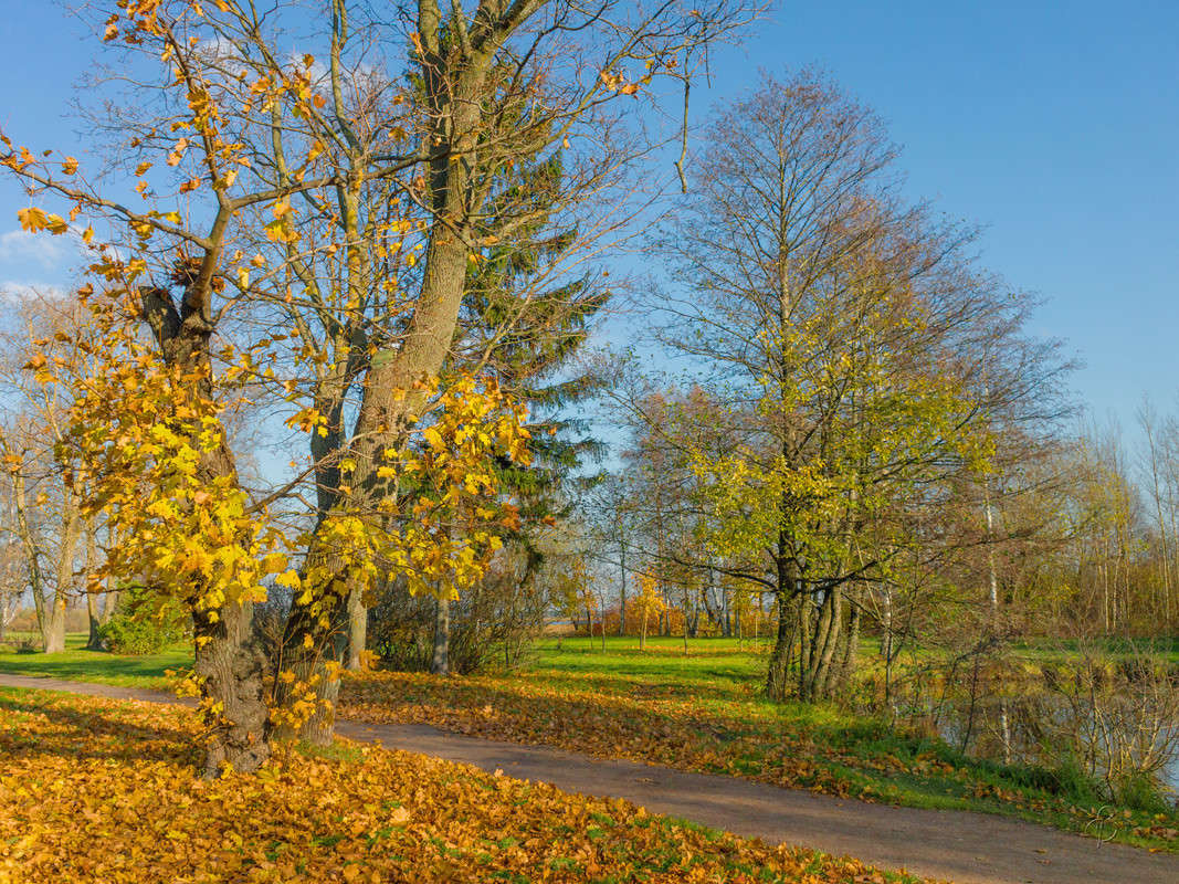 ������� � ����������� ����� 2 ����� Vitaly Konakov �� PhotoGeek.ru #������ ��� ������� #����� ��������