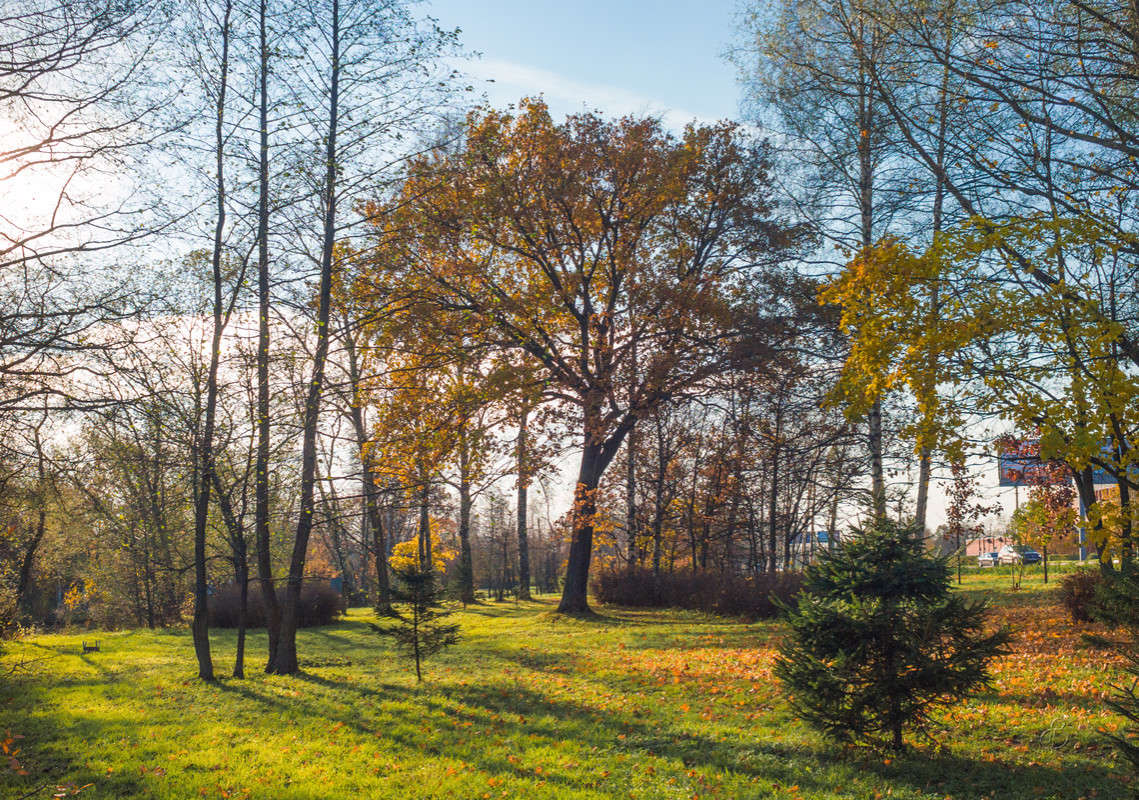 ������� � ����������� ����� 3 ����� Vitaly Konakov �� PhotoGeek.ru #������ ��� ������� #����� ��������