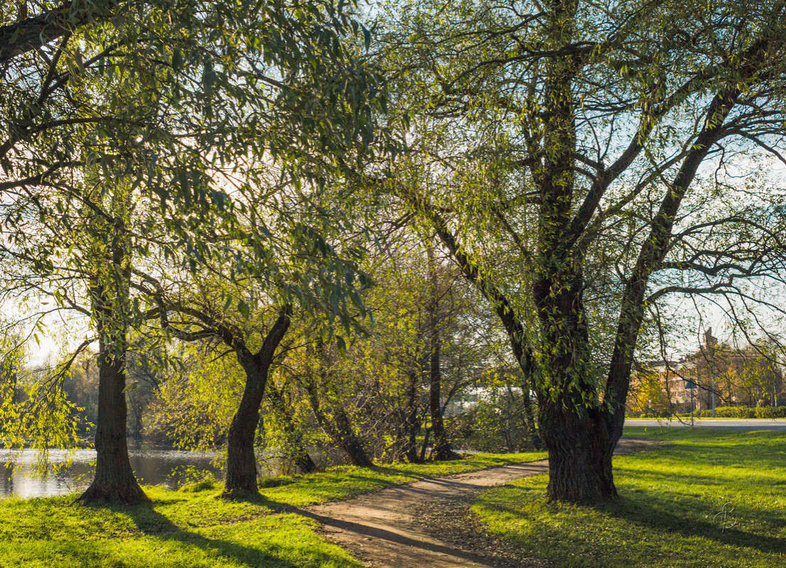 �� ����������� ������� ����� Vitaly Konakov �� PhotoGeek.ru #������ ��� ������� #����� ��������