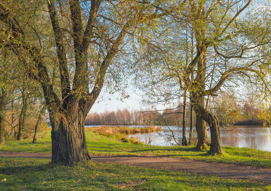 �� ����������� ������� 2 ����� Vitaly Konakov �� PhotoGeek.ru #������ ��� ������� #����� ��������