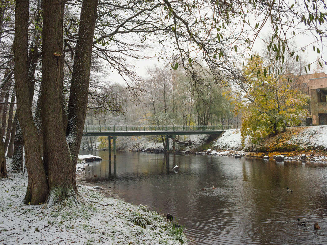 ���� � ������� 13 ����� Vitaly Konakov �� PhotoGeek.ru #������ ��� ������� #����� ��������