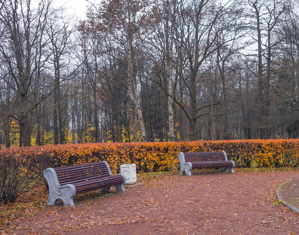 ������ �� �������� ����� Vitaly Konakov �� PhotoGeek.ru #������ ��� ������� #����� ��������