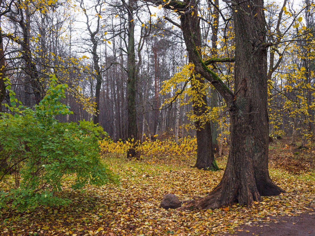������ �� �������� 2 ����� Vitaly Konakov �� PhotoGeek.ru #������ ��� ������� #����� ��������