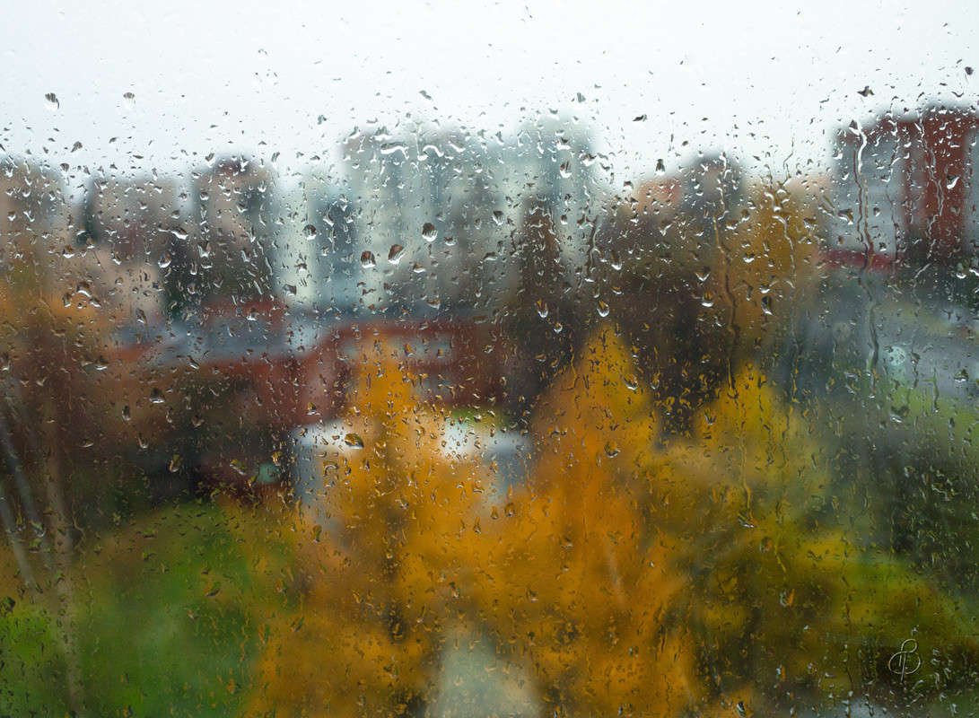 �������� ����� Vitaly Konakov �� PhotoGeek.ru #������ ��� ������� #����� ��������