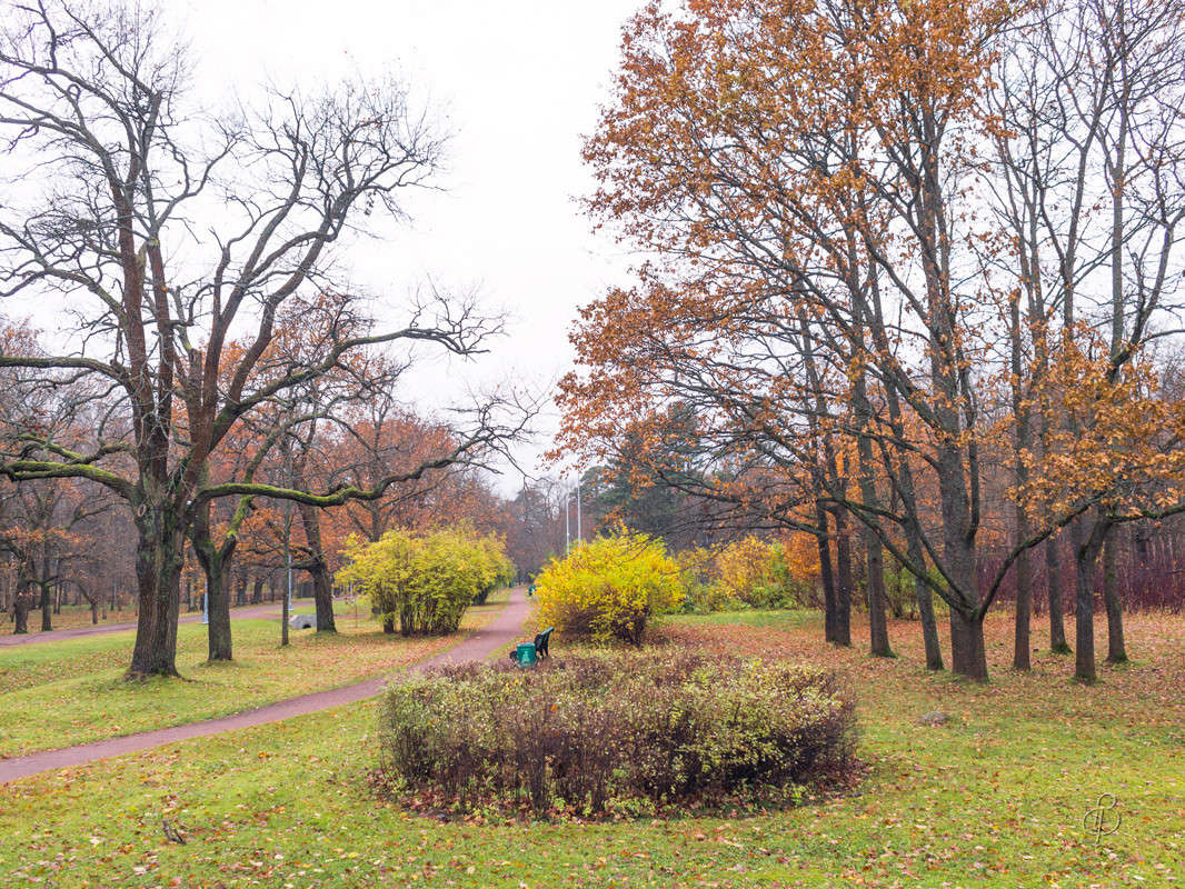 ������� ����� ����� Vitaly Konakov �� PhotoGeek.ru #������ ��� ������� #����� ��������