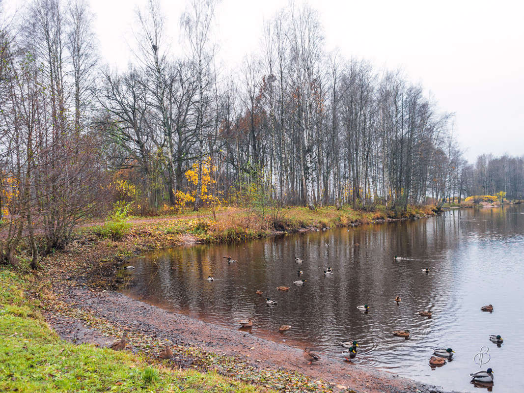 ������� ����� 2 ����� Vitaly Konakov �� PhotoGeek.ru #������ ��� ������� #����� ��������