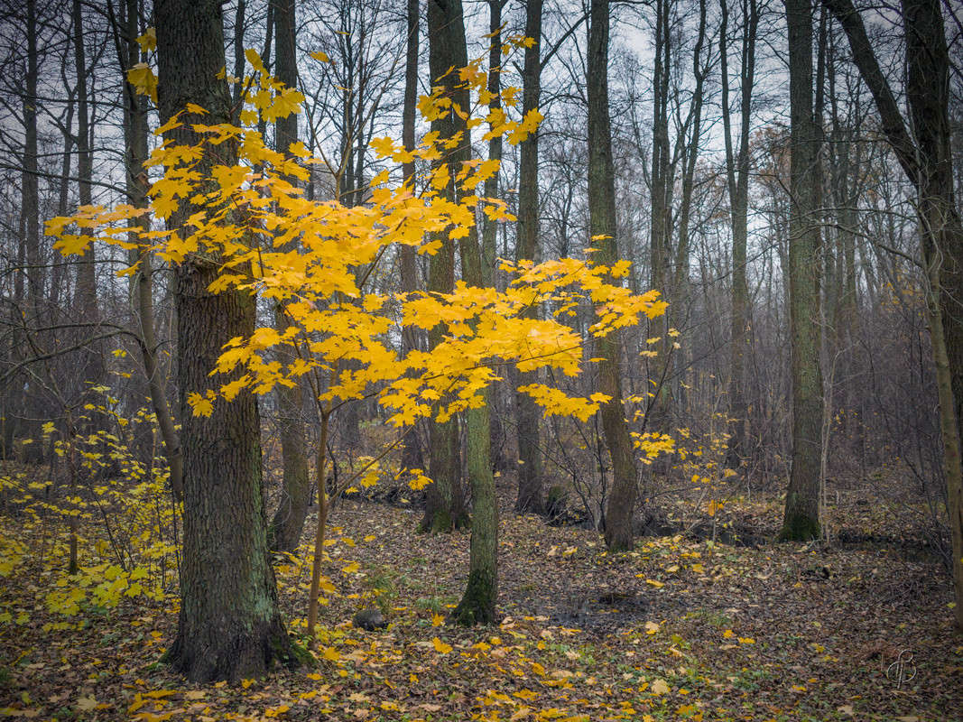 ������� ����� 3 ����� Vitaly Konakov �� PhotoGeek.ru #������ ��� ������� #����� ��������