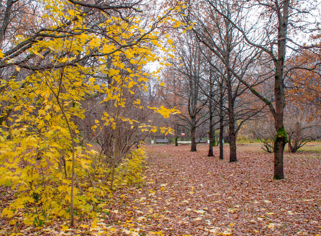 ������� ����� 4 ����� Vitaly Konakov �� PhotoGeek.ru #������ ��� ������� #����� ��������