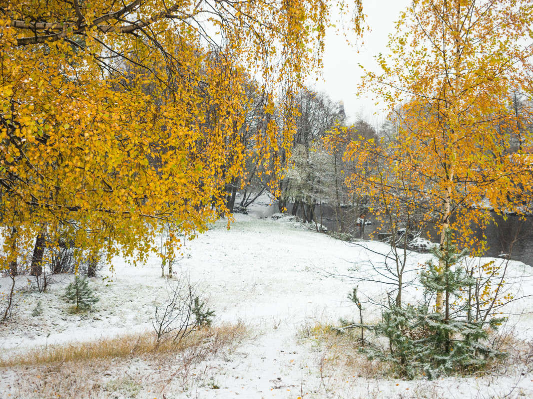 ���� � �������  20 ����� Vitaly Konakov �� PhotoGeek.ru #������ ��� ������� #����� ��������