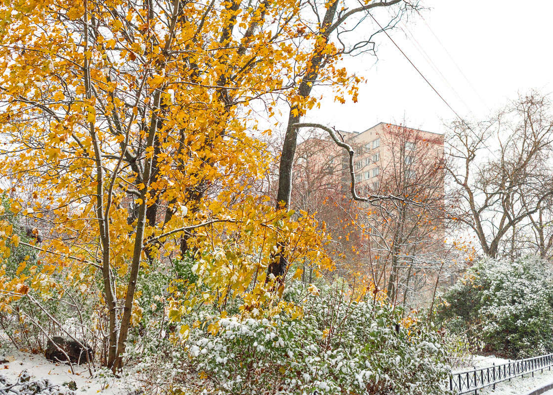 ���� � ������� 22 ����� Vitaly Konakov �� PhotoGeek.ru #������ ��� ������� #����� ��������