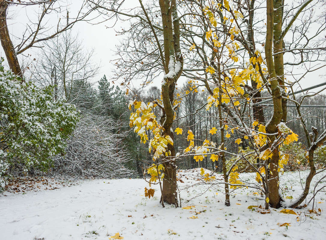 ���� � �������  27 ����� Vitaly Konakov �� PhotoGeek.ru #������ ��� ������� #����� ��������