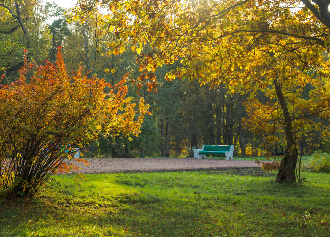 �������� ���� ����� Vitaly Konakov �� PhotoGeek.ru #������ ��� ������� #����� ��������