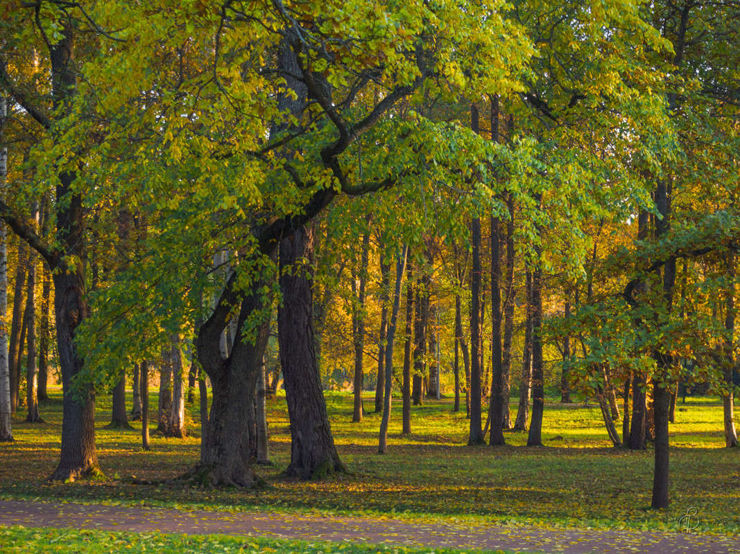 �������� ���� 2 ����� Vitaly Konakov �� PhotoGeek.ru #������ ��� ������� #����� ��������