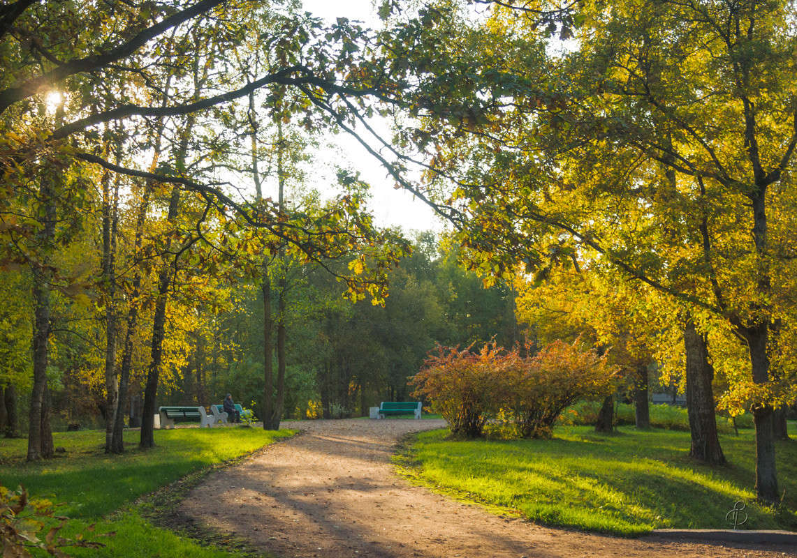 �������� ���� 3 ����� Vitaly Konakov �� PhotoGeek.ru #������ ��� ������� #����� ��������