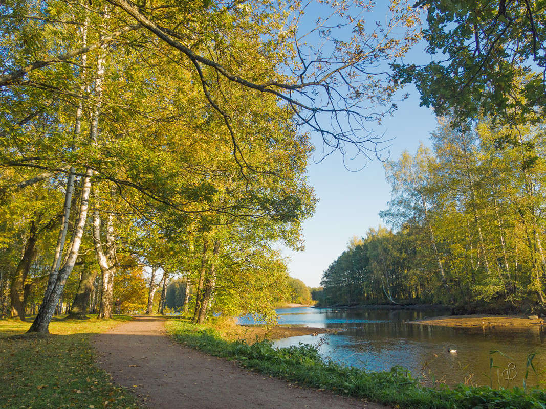 �������� ���� 4 ����� Vitaly Konakov �� PhotoGeek.ru #������ ��� ������� #����� ��������