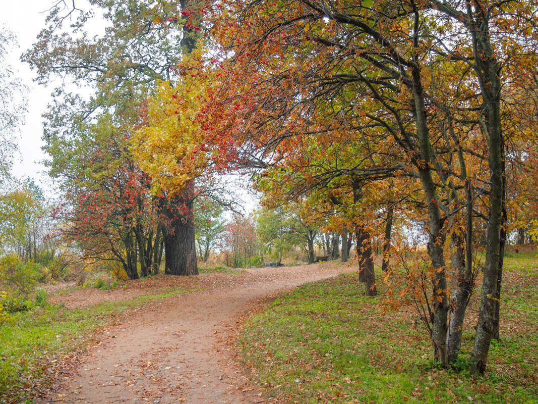 ����� � ��������� ���� ����� Vitaly Konakov �� PhotoGeek.ru #������ ��� ������� #����� ��������