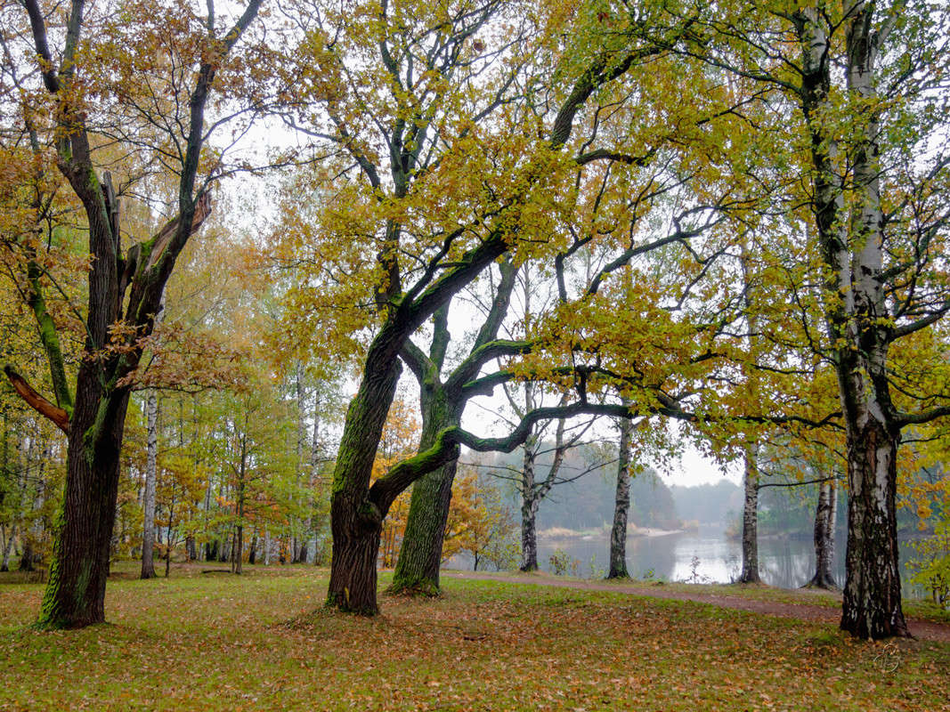 ����� � ��������� ���� 2 ����� Vitaly Konakov �� PhotoGeek.ru #������ ��� ������� #����� ��������