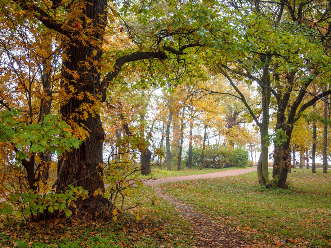 ����� � ��������� ���� 3 ����� Vitaly Konakov �� PhotoGeek.ru #������ ��� ������� #����� ��������