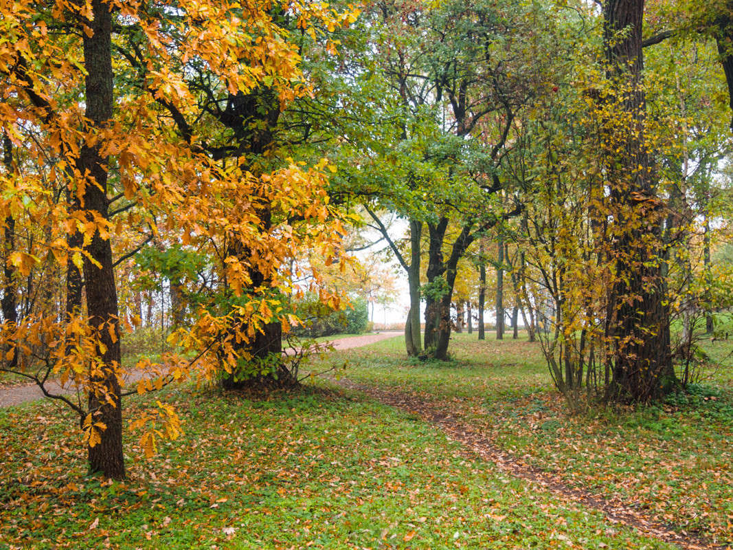 ����� � ��������� ���� 4 ����� Vitaly Konakov �� PhotoGeek.ru #������ ��� ������� #����� ��������