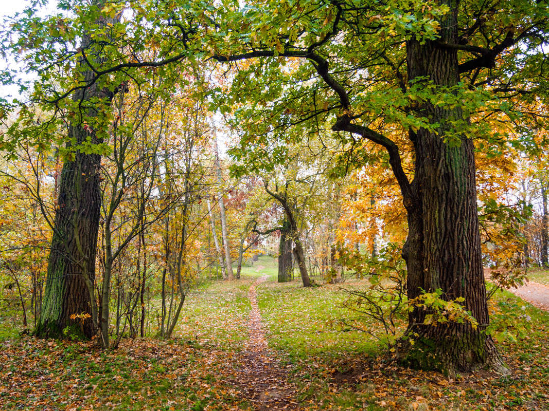 ����� � ��������� ���� 5 ����� Vitaly Konakov �� PhotoGeek.ru #������ ��� ������� #����� ��������