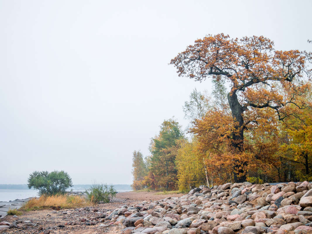 ����� � ��������� ���� 6 ����� Vitaly Konakov �� PhotoGeek.ru #������ ��� ������� #����� ��������