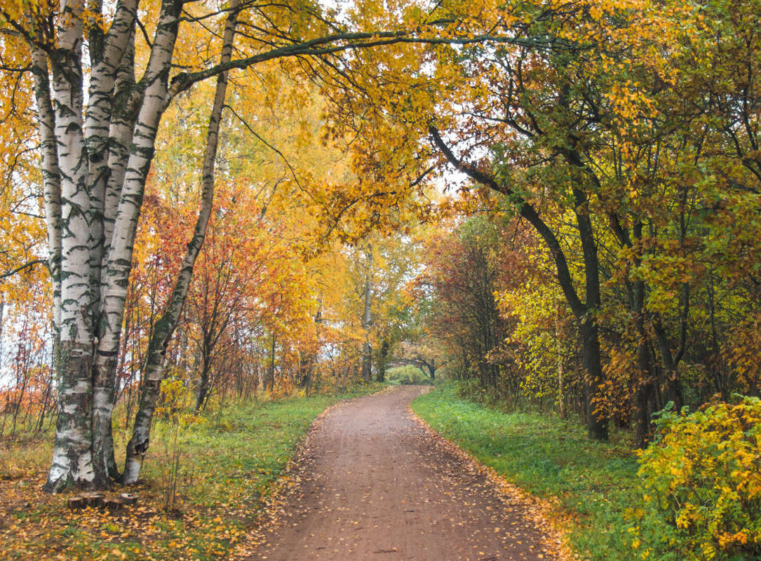 ����� � ��������� ���� 8 ����� Vitaly Konakov �� PhotoGeek.ru #������ ��� ������� #����� ��������