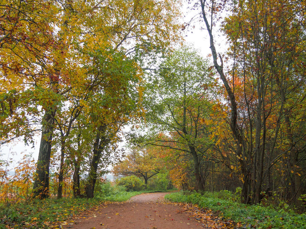 ����� � ��������� ���� 9 ����� Vitaly Konakov �� PhotoGeek.ru #������ ��� ������� #����� ��������