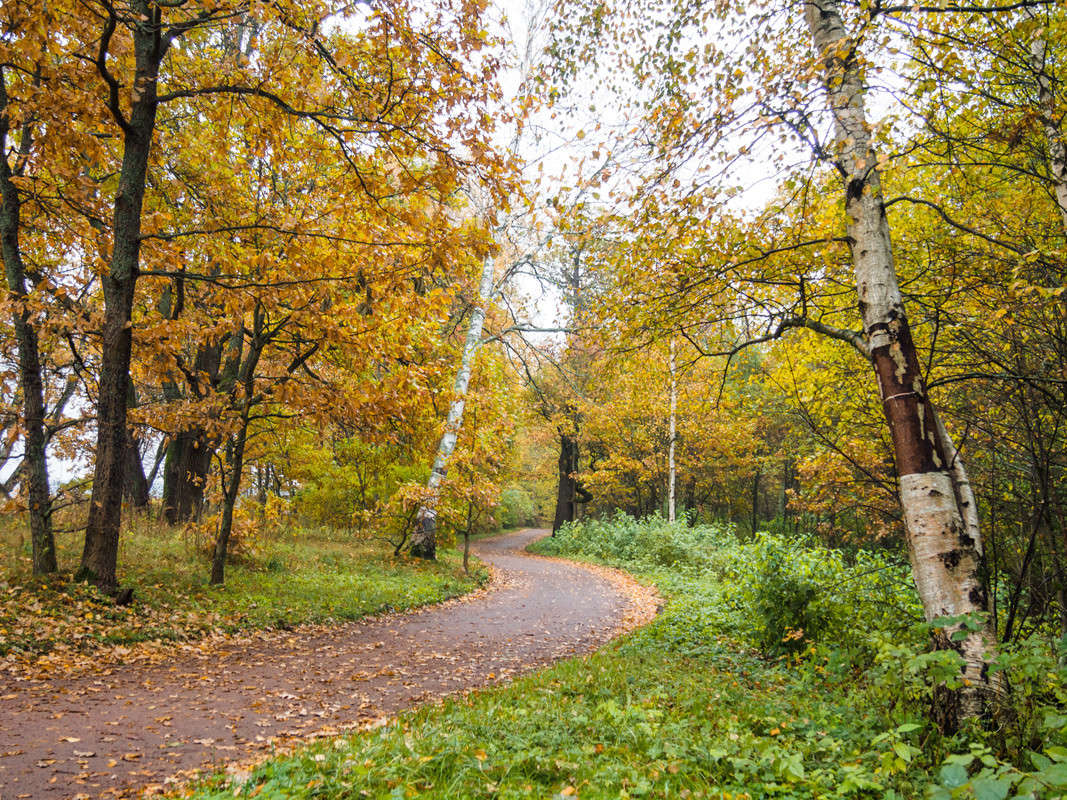 ����� � ��������� ���� 10 ����� Vitaly Konakov �� PhotoGeek.ru #������ ��� ������� #����� ��������