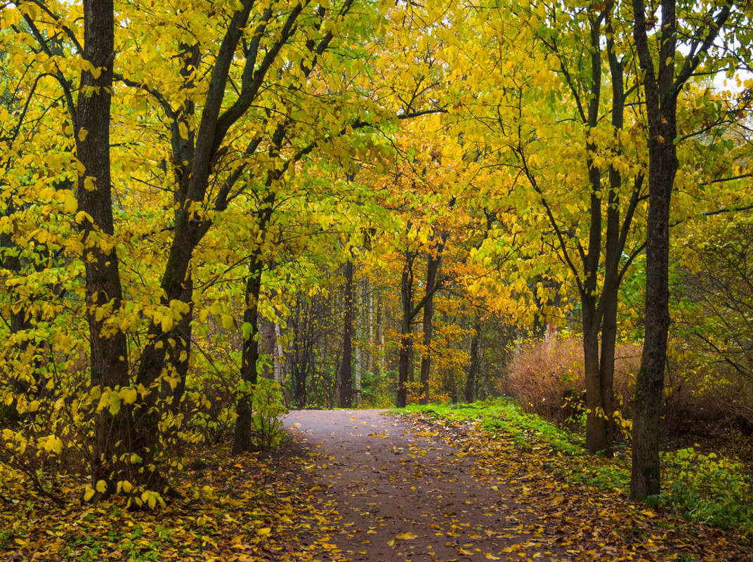 ����� � ��������� ���� 11 ����� Vitaly Konakov �� PhotoGeek.ru #������ ��� ������� #����� ��������