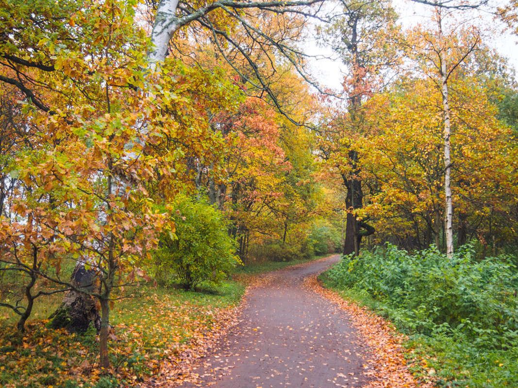 ����� � ��������� ���� 12 ����� Vitaly Konakov �� PhotoGeek.ru #������ ��� ������� #����� ��������