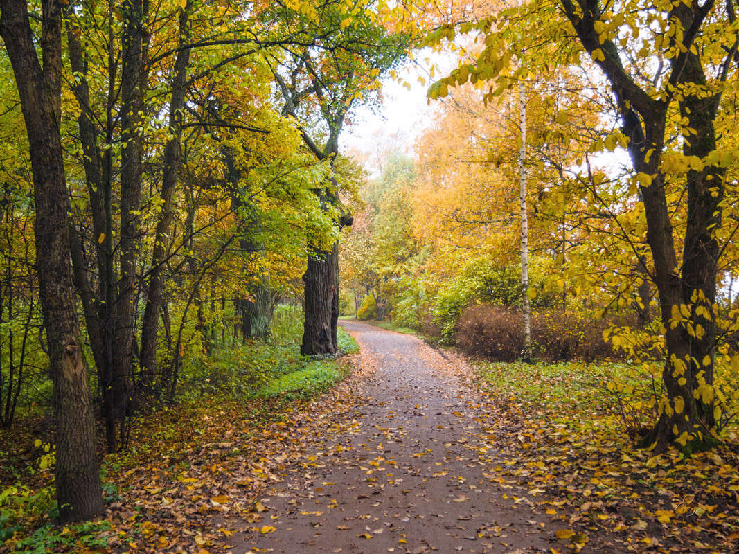 ����� � ��������� ���� 14 ����� Vitaly Konakov �� PhotoGeek.ru #������ ��� ������� #����� ��������